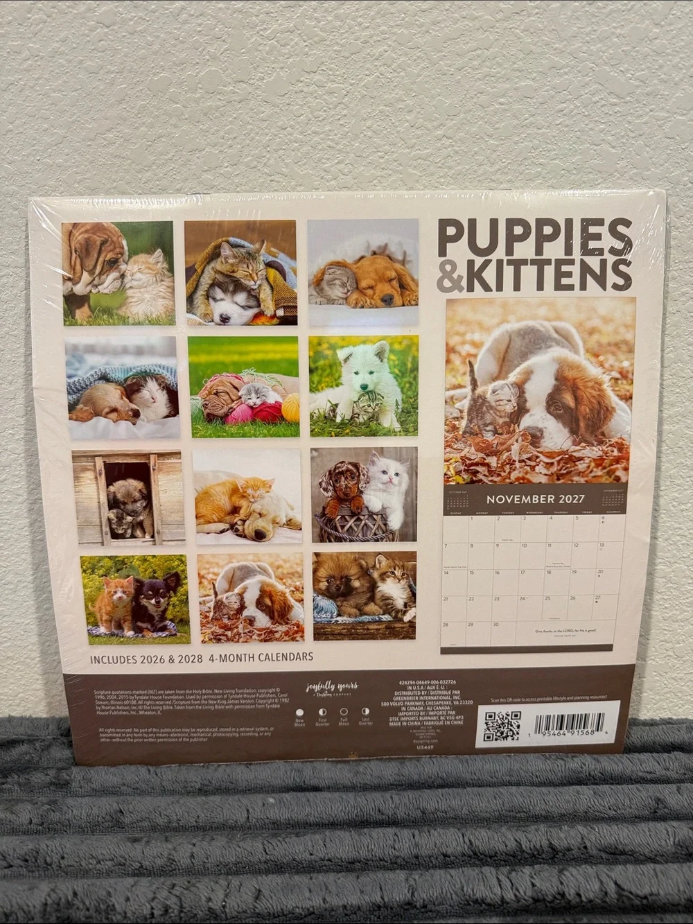 Puppies & Kittens 2027 Inspirational Calendar